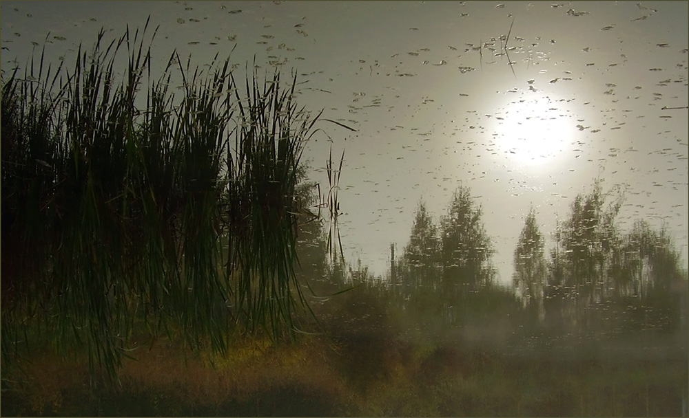 Graphics der Herbstmorgen