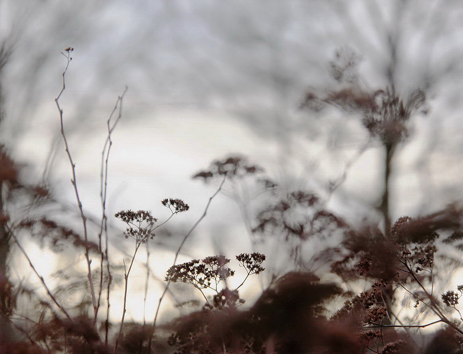 die geheimnisvolle Welt der