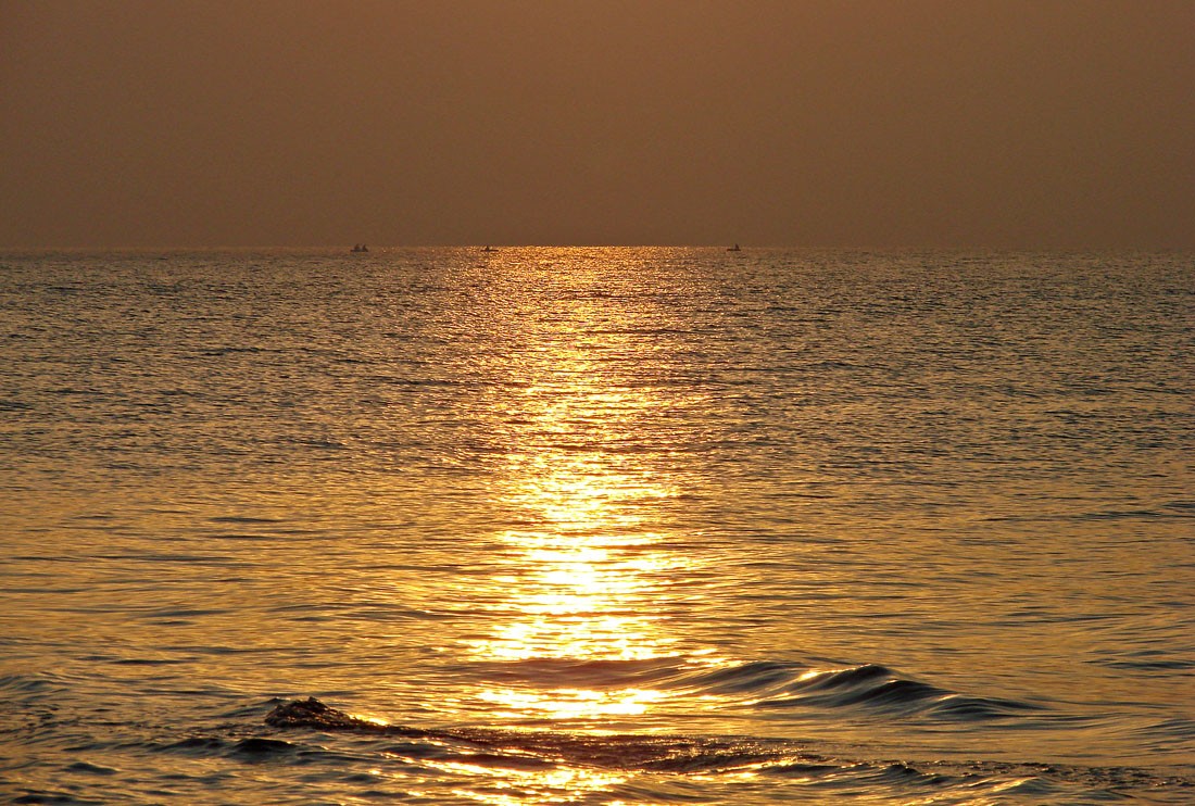 Die Fischer in der Schokolade