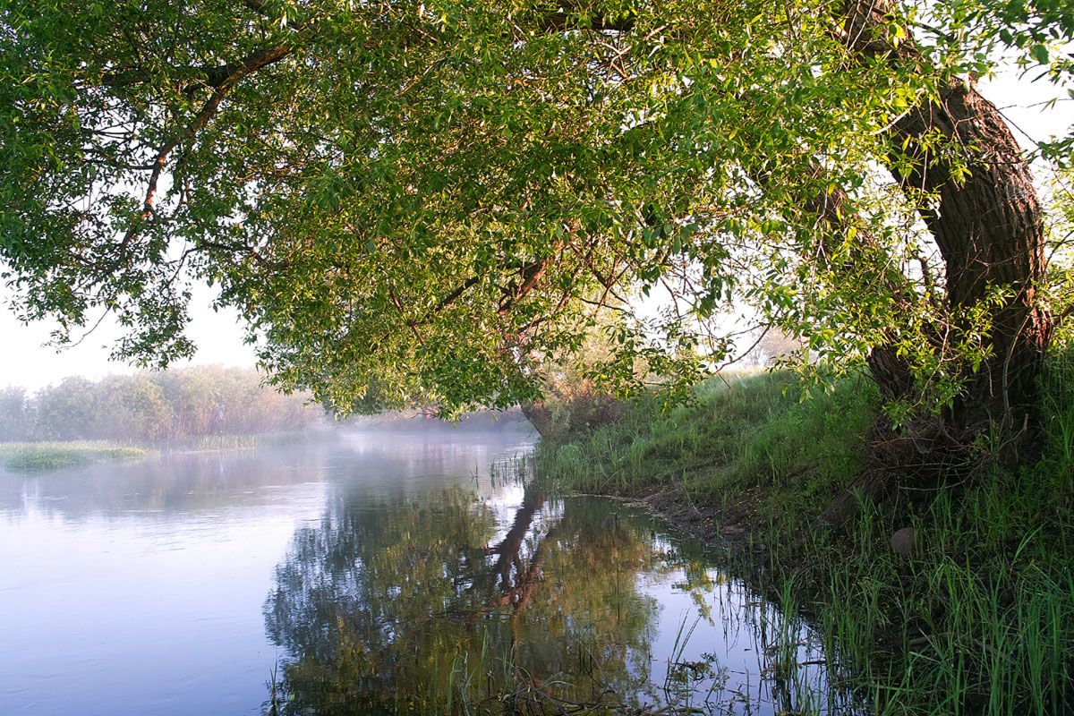Hanging über die glatte Oberfläche