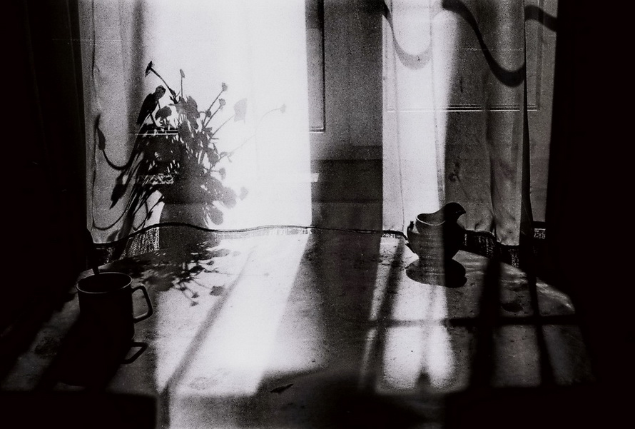 Streit Tasse und Untertasse)))