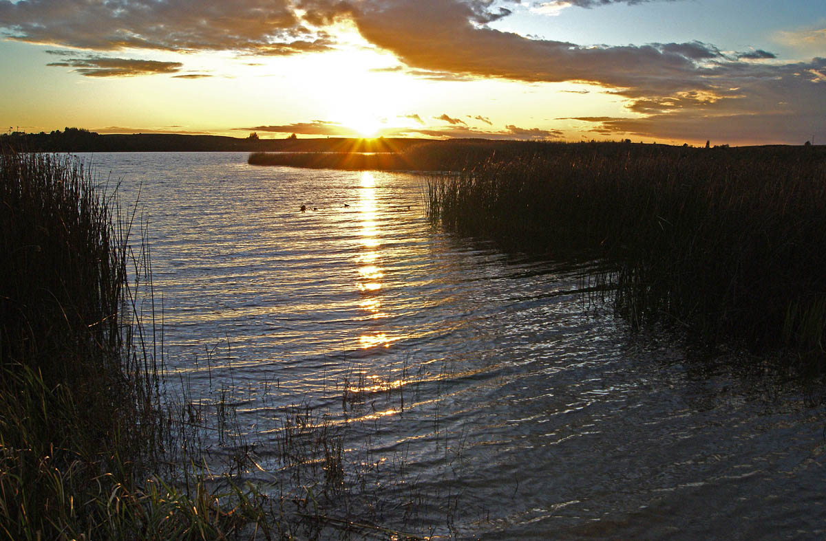 Ein wenig Sonne im kalten Wasser