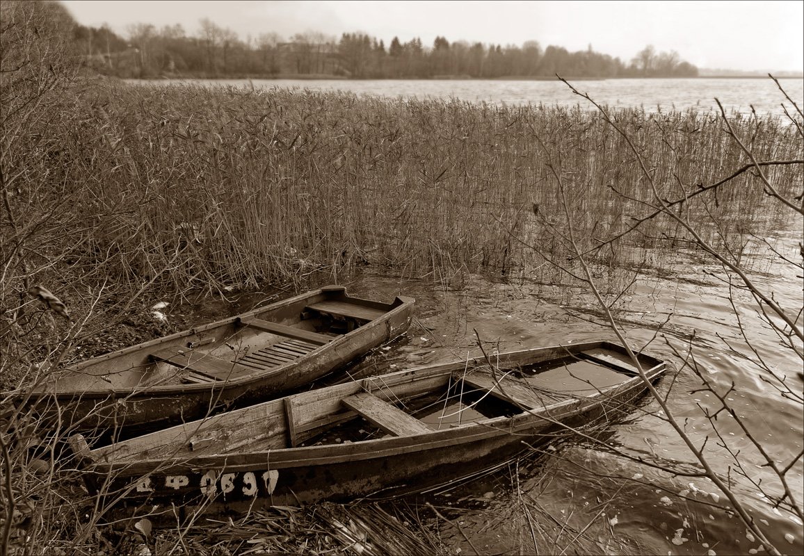 Slumber boat in the reeds
