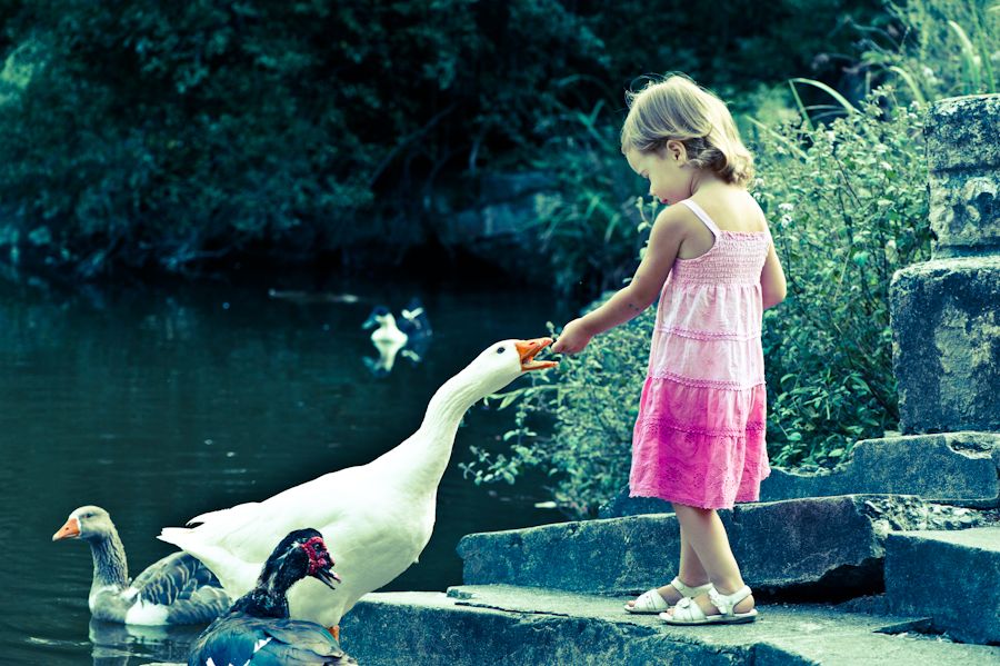 Das Mädchen und die Gans