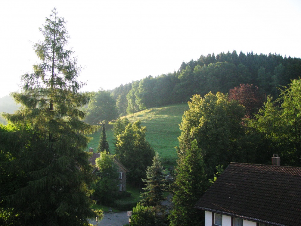 Morgen in den Bergen