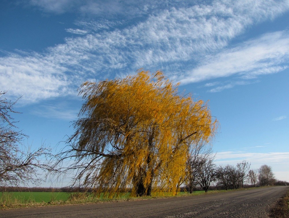 unter dem blauen Himmel