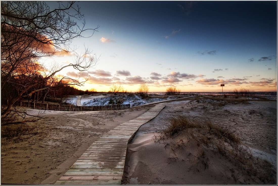 Schwimmen Sie nicht! Hungry Dichtungen!