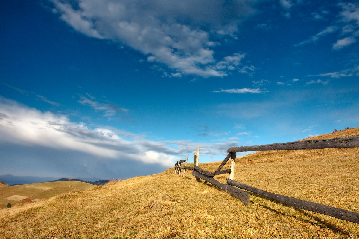 Carpathian einfache ....................