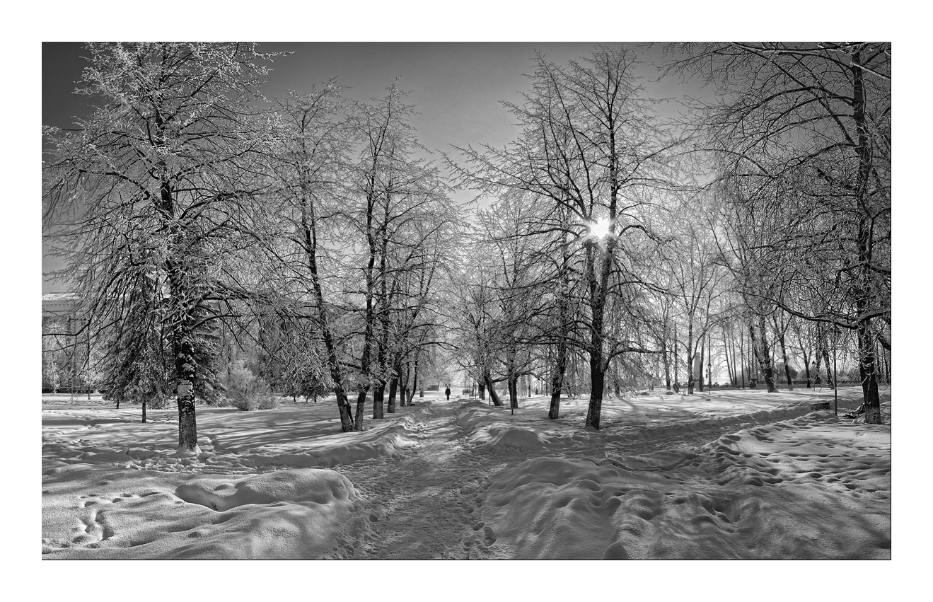 Winter ... der Schatten ...