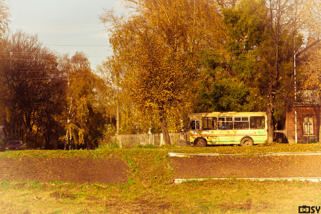 The Magic School Bus