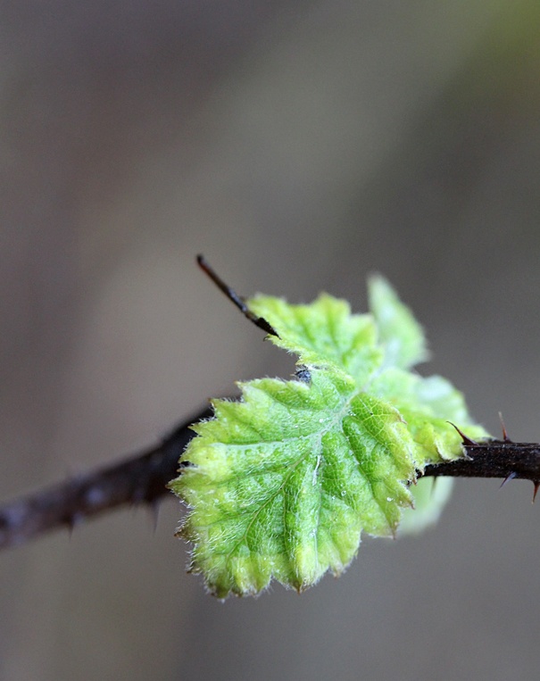 A part of the summer