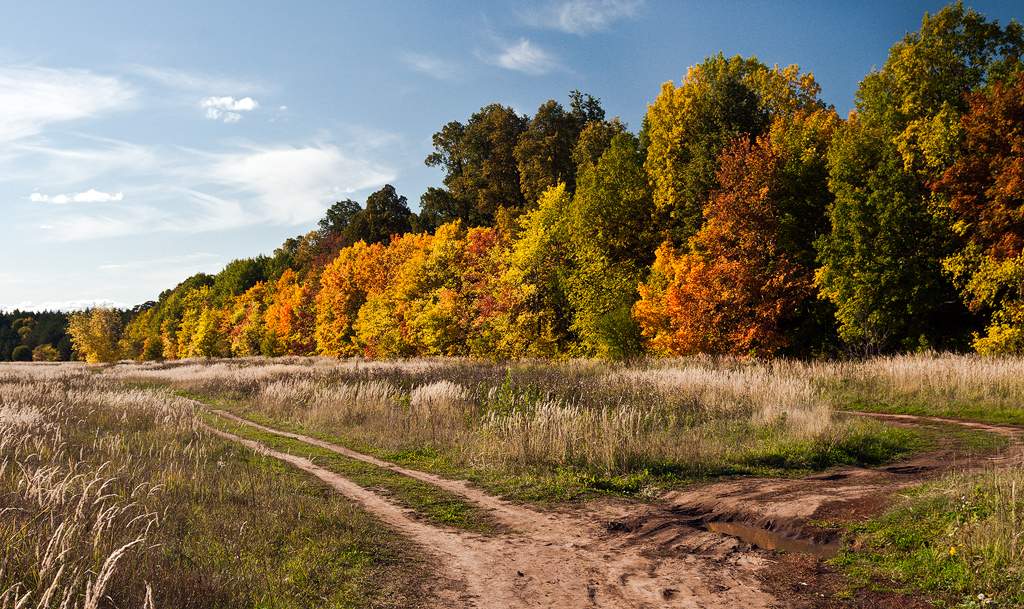 Nur der Fall gebe ich meine Liebe ...