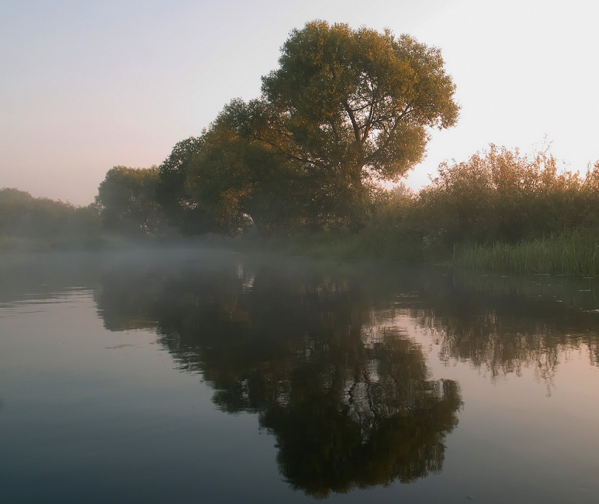 In der nebligen Reflexion