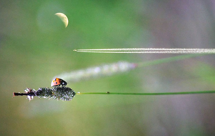 Änderte ihre Meinung