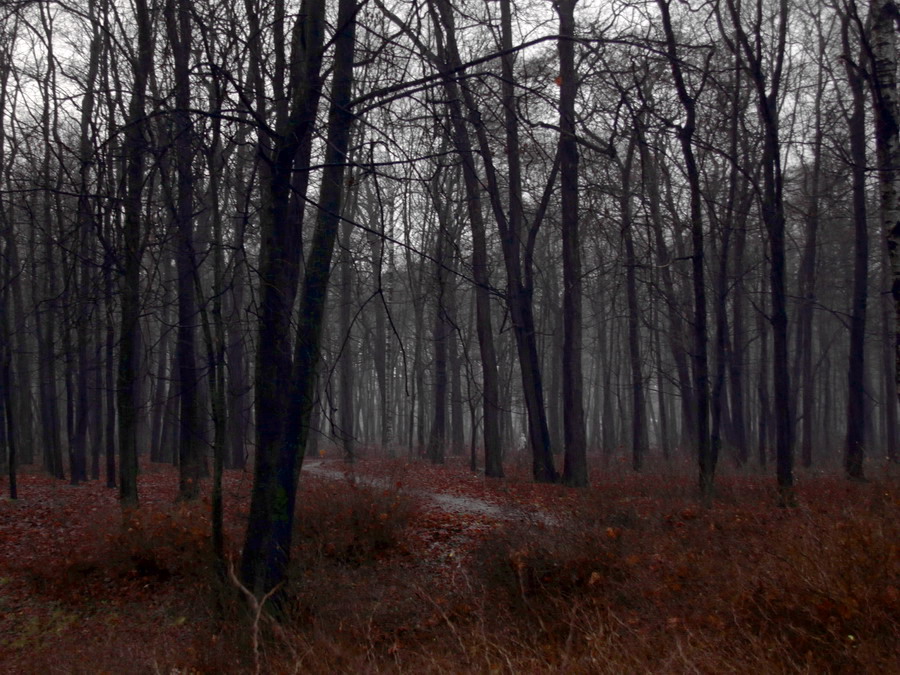 Schwelle von Kälte und Schnee