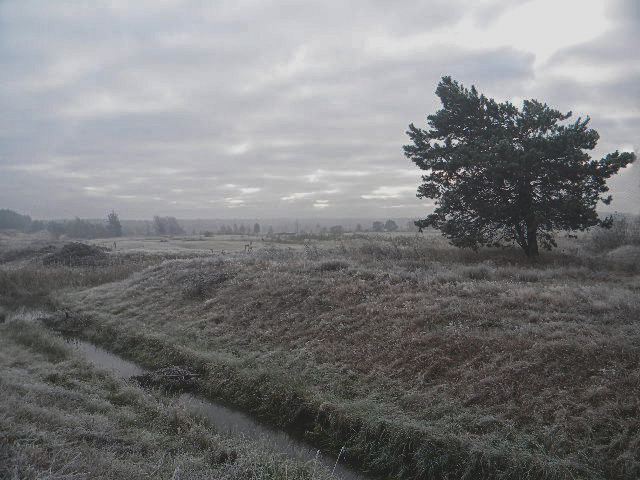 Vormittag bewölkt Tag
