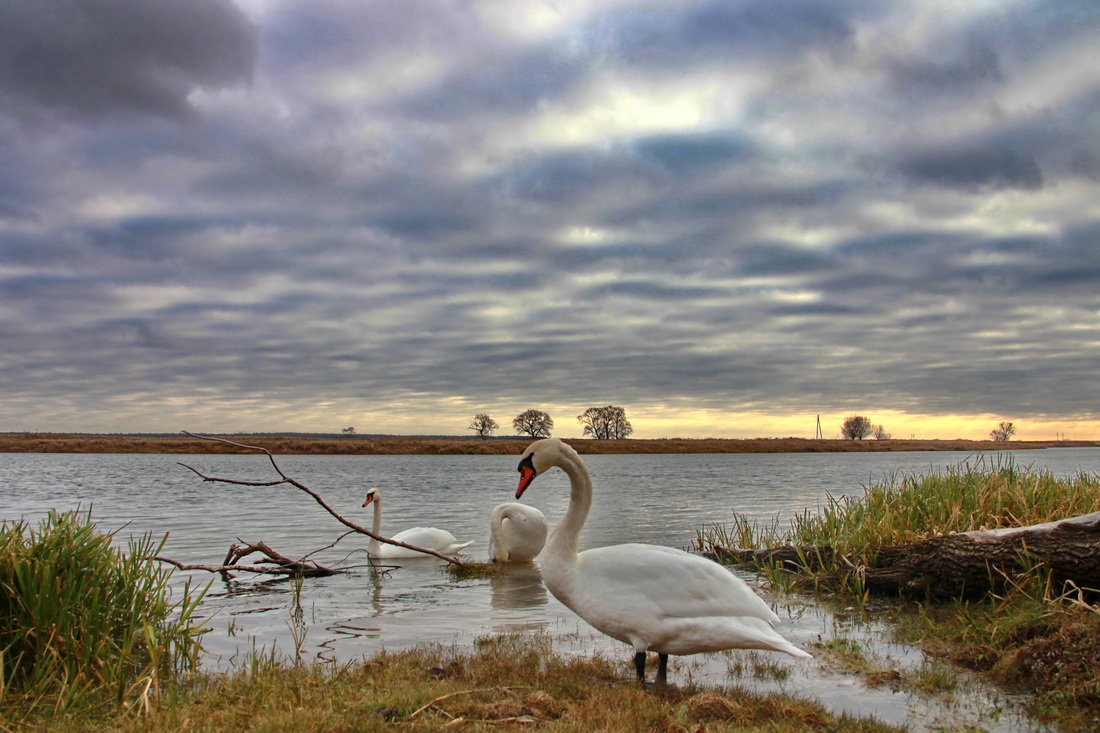 Es ist Zeit zu fliegen