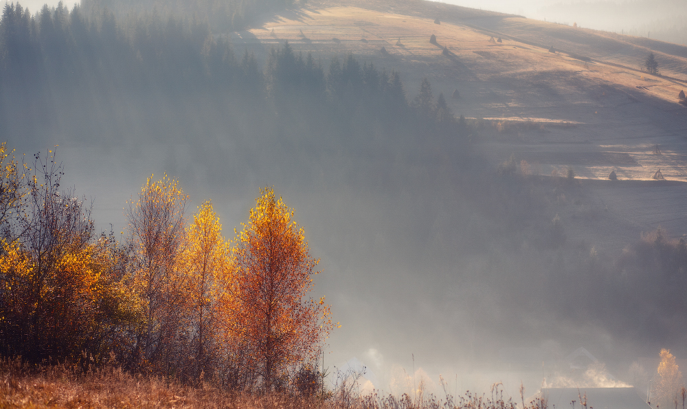 Breathing am Morgen ......