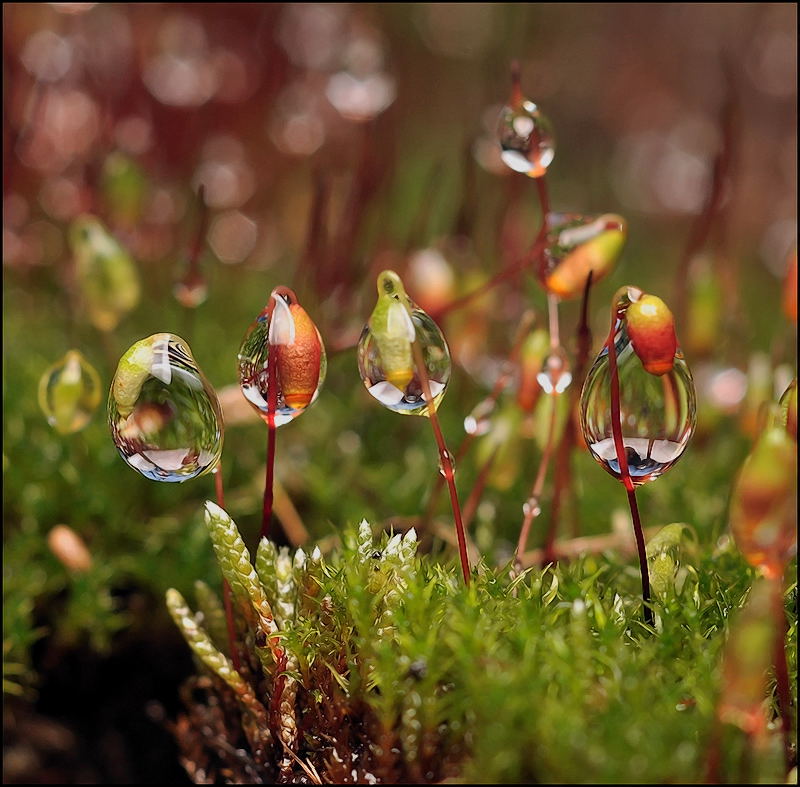 Wir sind der heikelste ...
