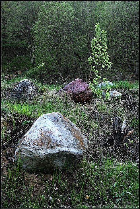 Gewaschene REGEN ... BLD
