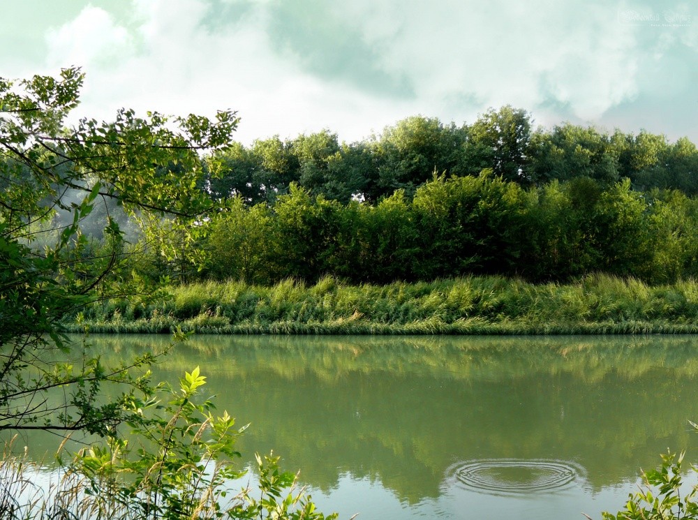 Kreis am Abend türkis