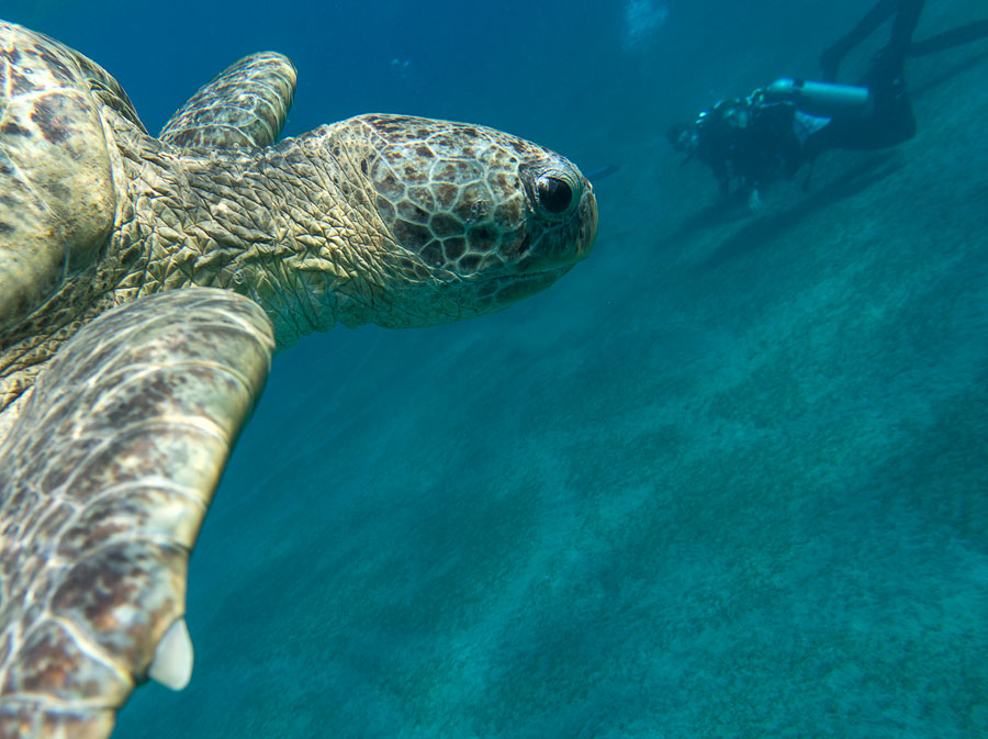 Ein Blick auf die Menschen