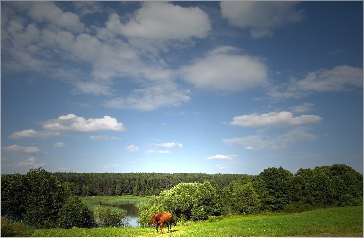 Im Sommer des Jahres