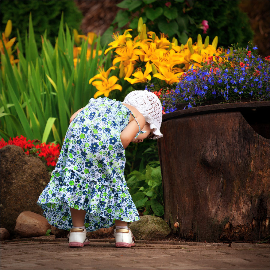 Über Gulliver und die kleine Schnecke