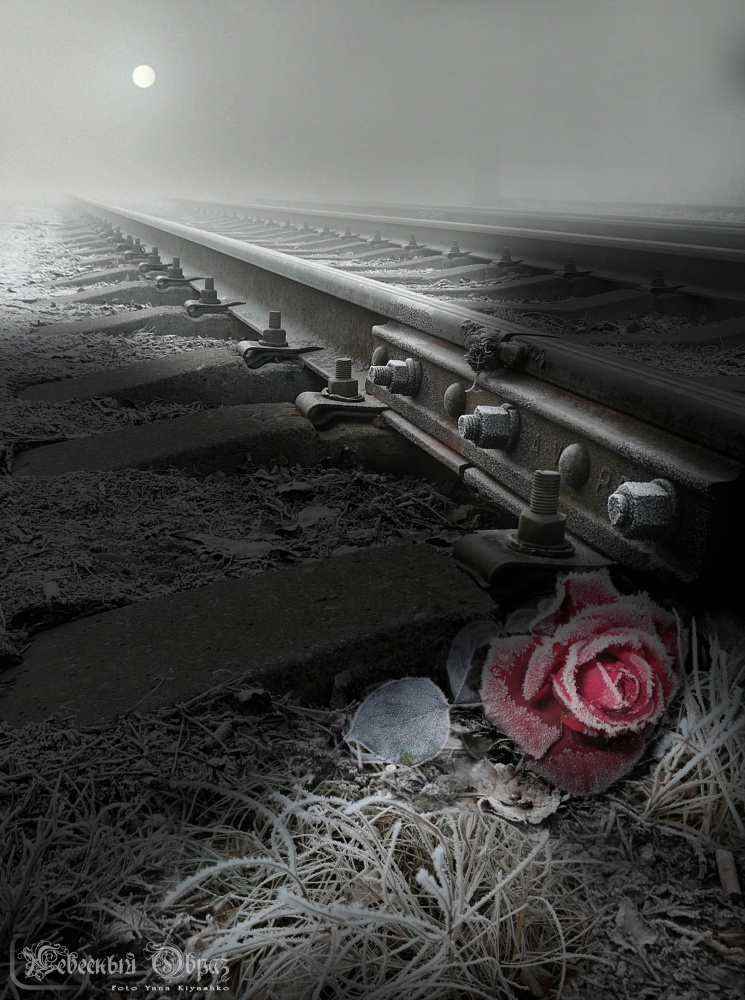 Also wo ist der Schmerz ...