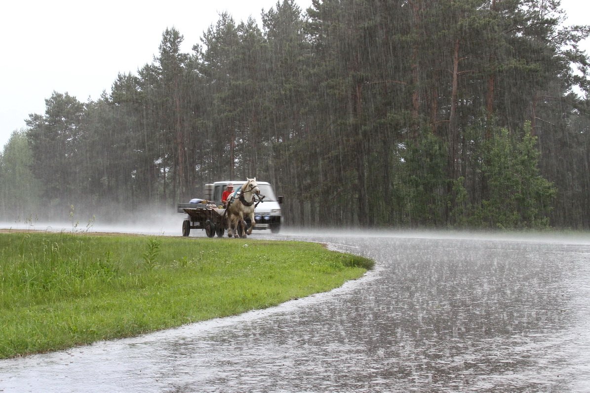 Diese Sommerregen ...