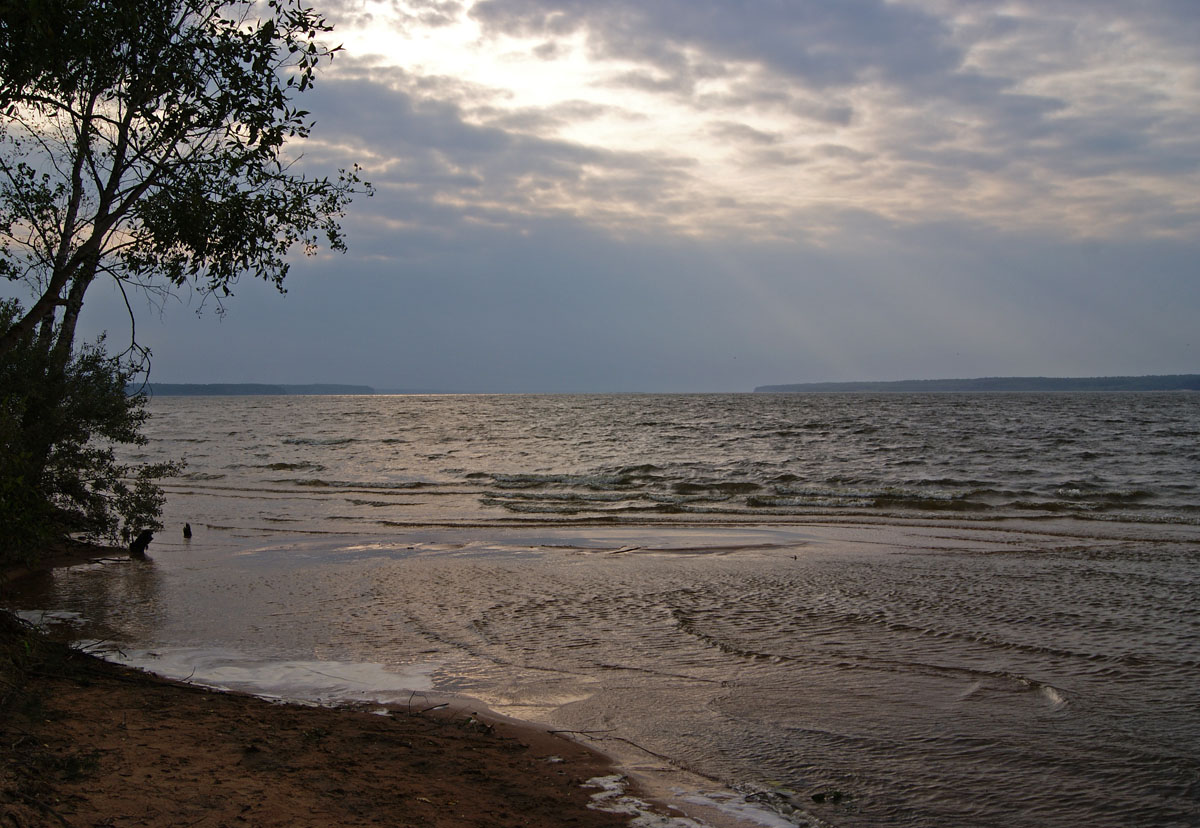 Left Coast, Right Coast