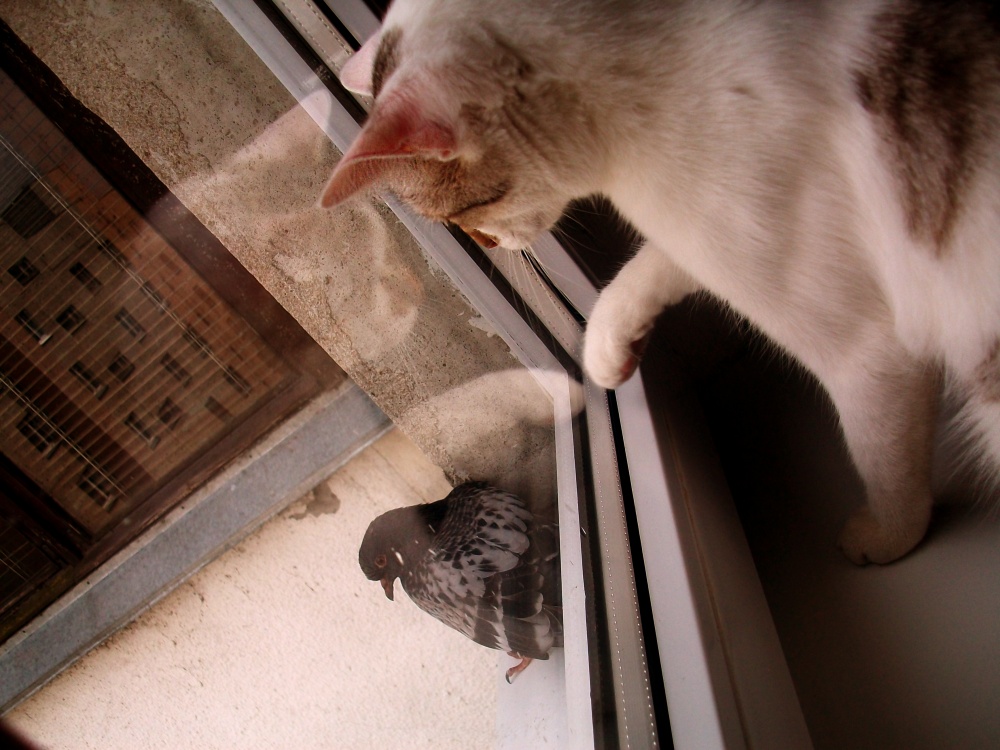 Ich möchte mit dir spielen