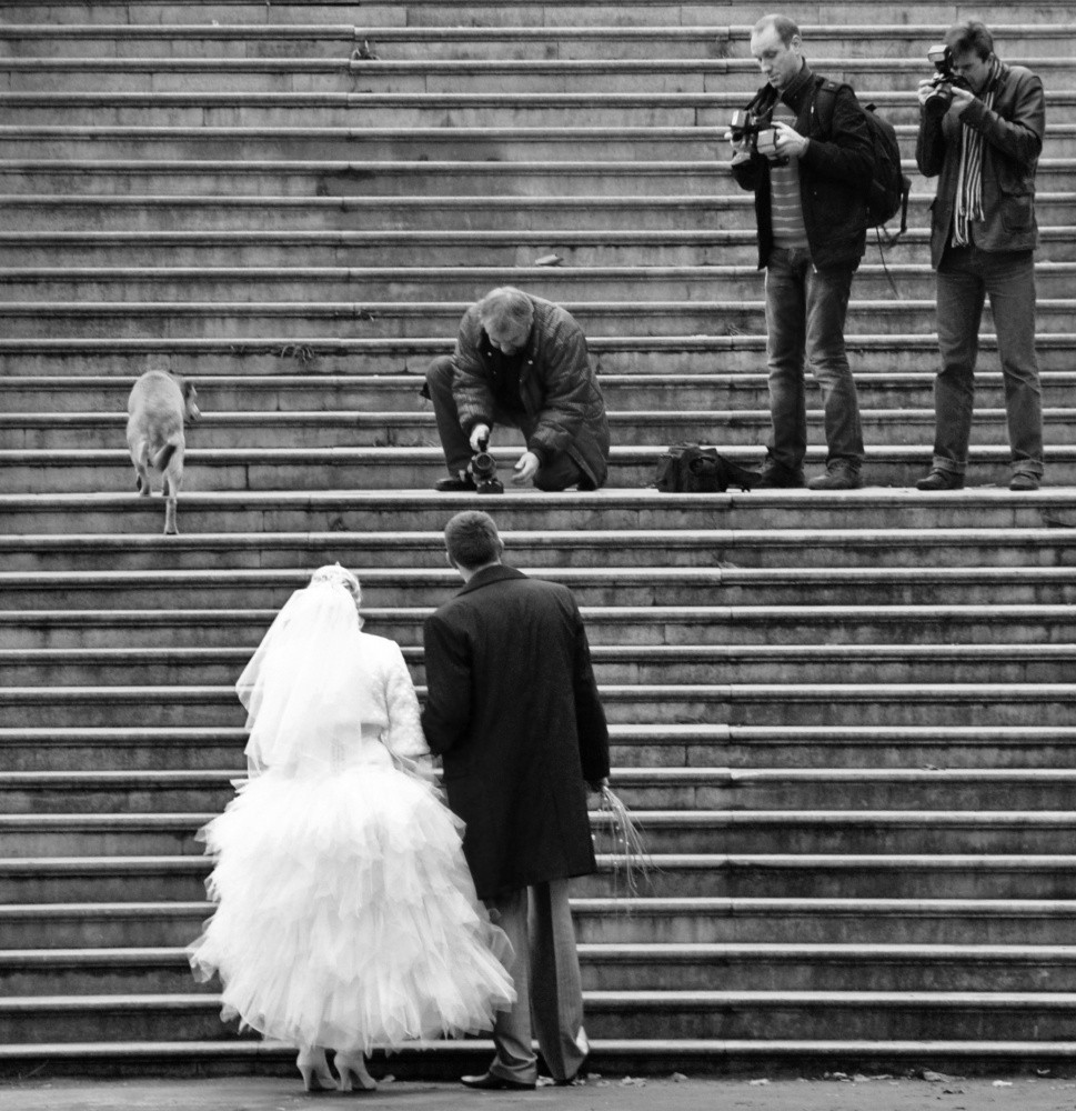 Der Hund ist immer noch