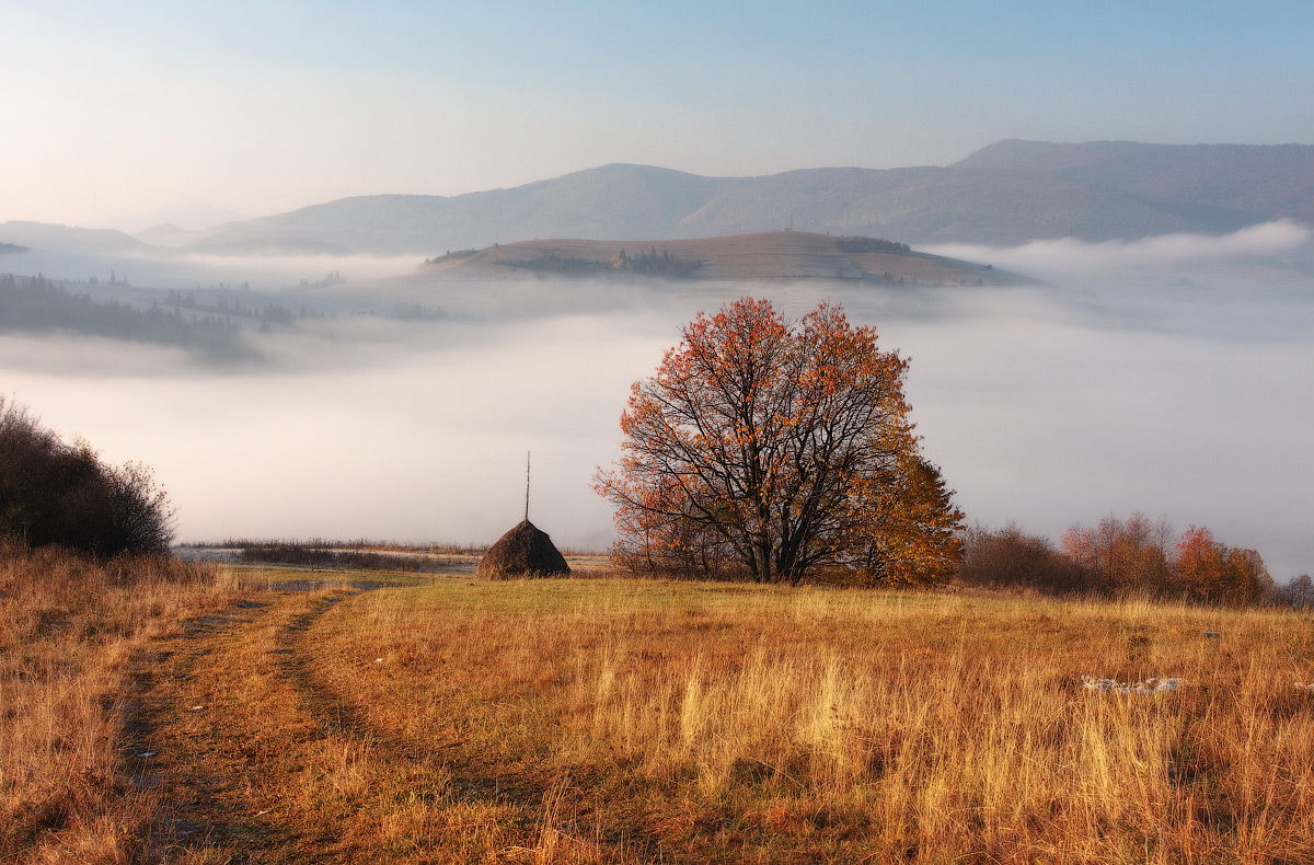 Die Wiege der Nebel ...................
