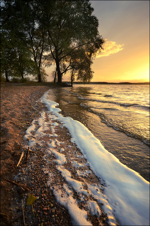 Die Zeilen, die auftreten ...