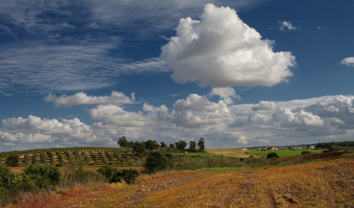Über Felder, über die Wiesen ...