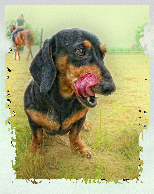 Na ja, essen ... Ich möchte auch ...