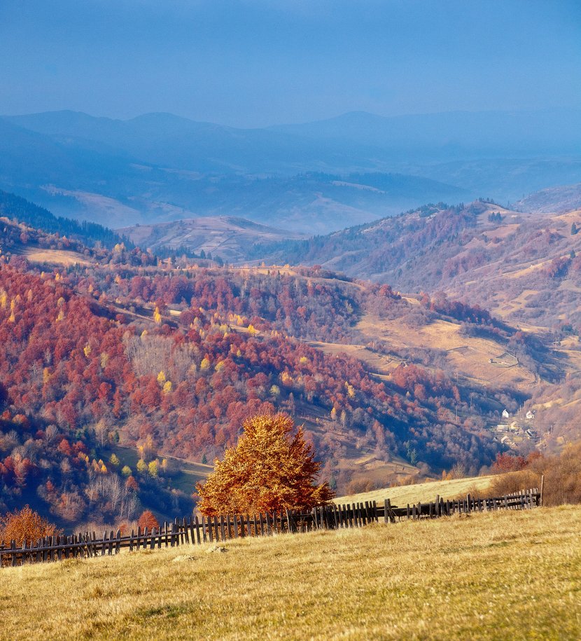 Hinter dem Zaun ......