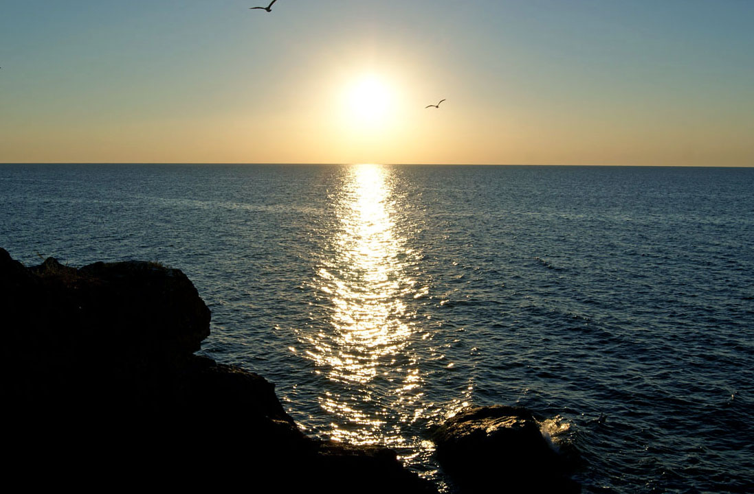 Meer und Sonne und Möwen