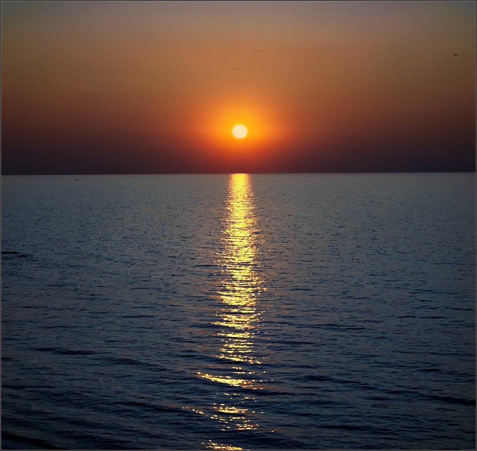 / Asowschen minimalistische /