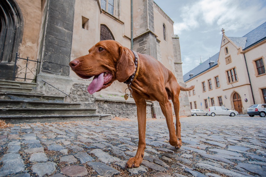 Ein zufälliges Treffen