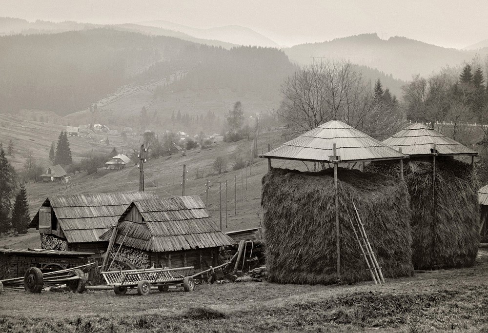 Carpathian schwül 2