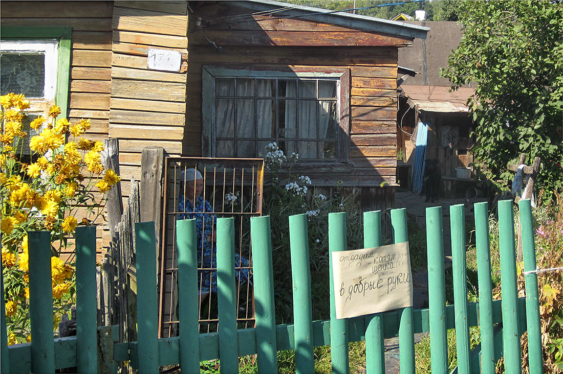 Unsere kleine Farm am Stadtrand.