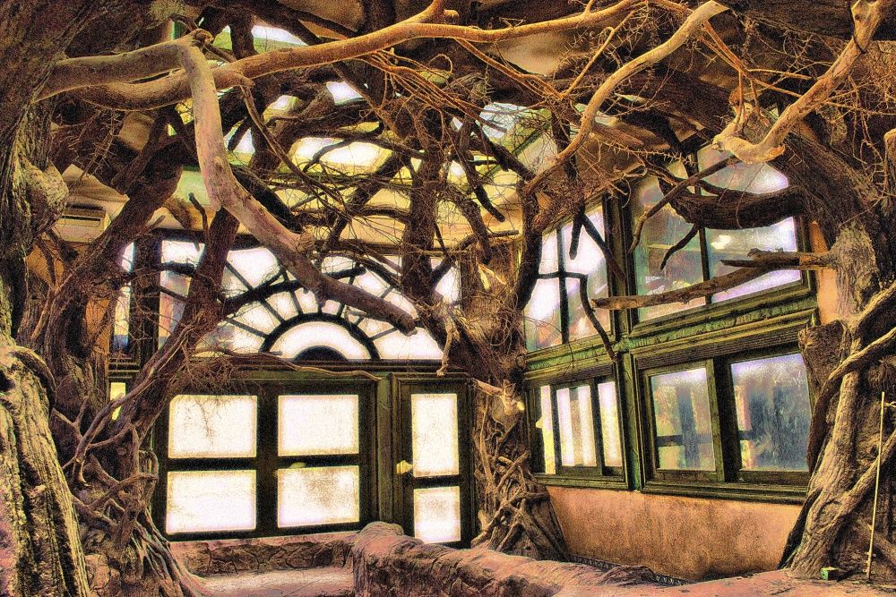 Mystische Realität ...