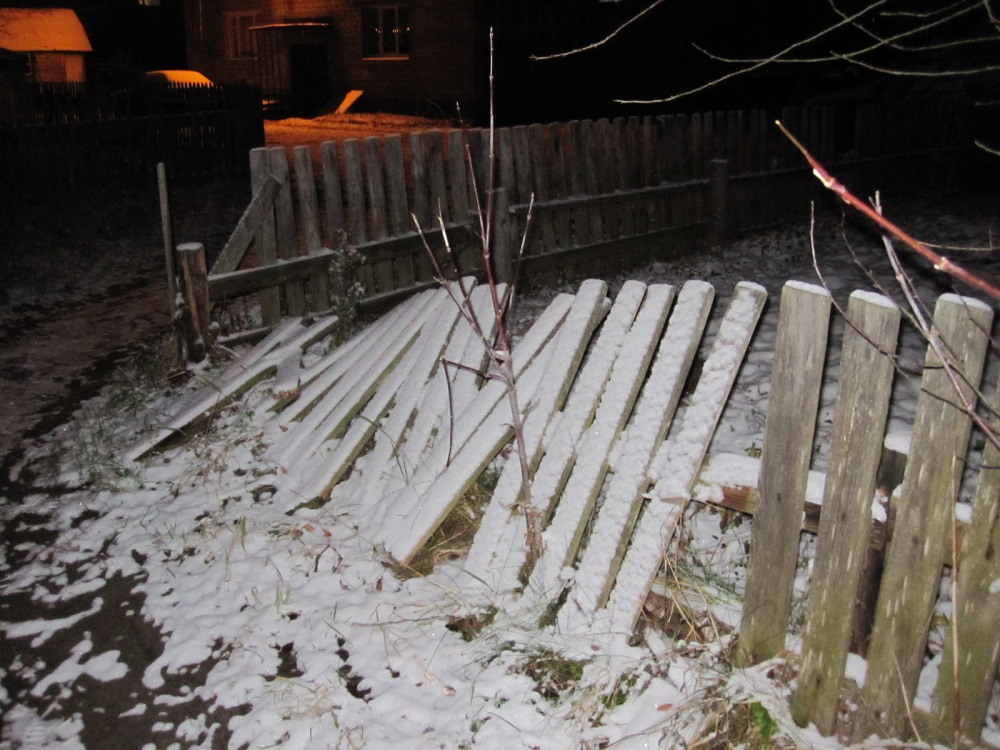 Abend, der erste Schnee.