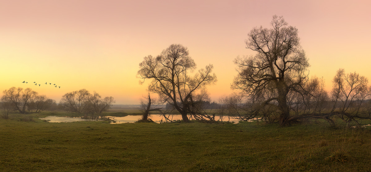 Der Herbst ist da und kommen ...