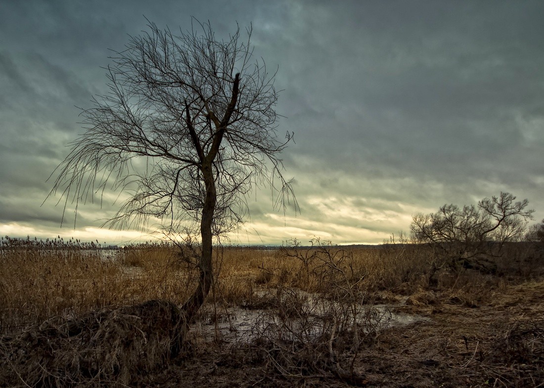 Bad Haupt zu den Füßen gibt keine Ruhe