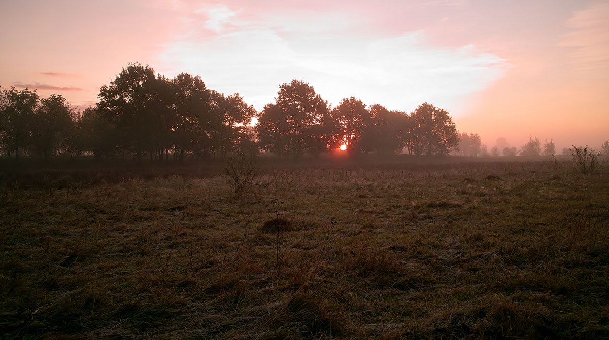 Peeping Morgengrauen