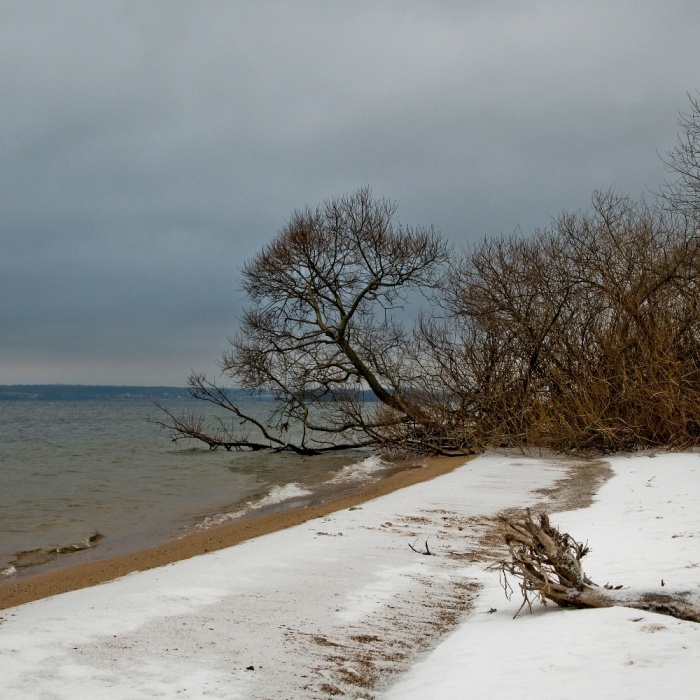 Winter Beach