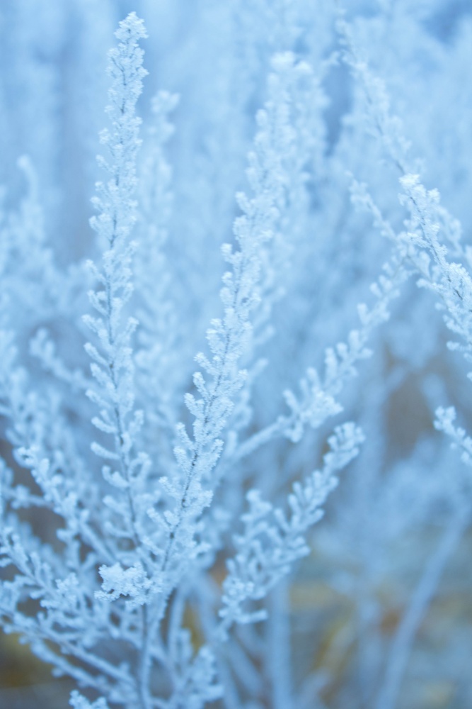 Blau - blau bereift ....